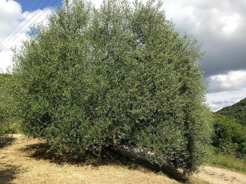 Vakantieboerderij Agriturismo Santa Maria Pienza Italië