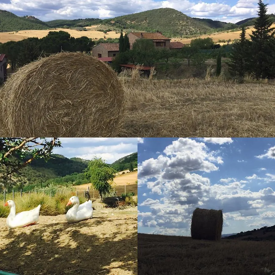 Farma Agriturismo Santa Maria Pienza